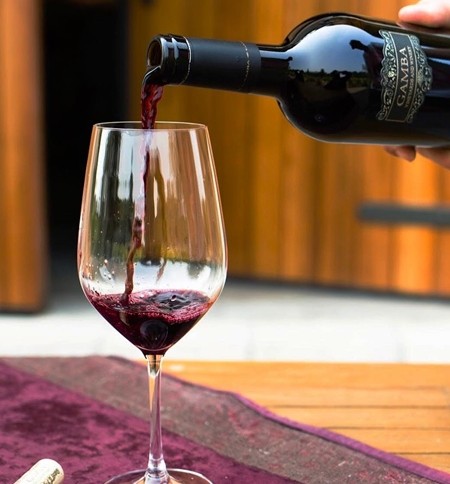 Gamba Vineyards Cabernet Sauvignon