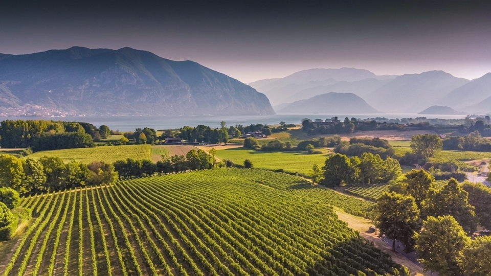 Italy Wine Regions, Lombardy
